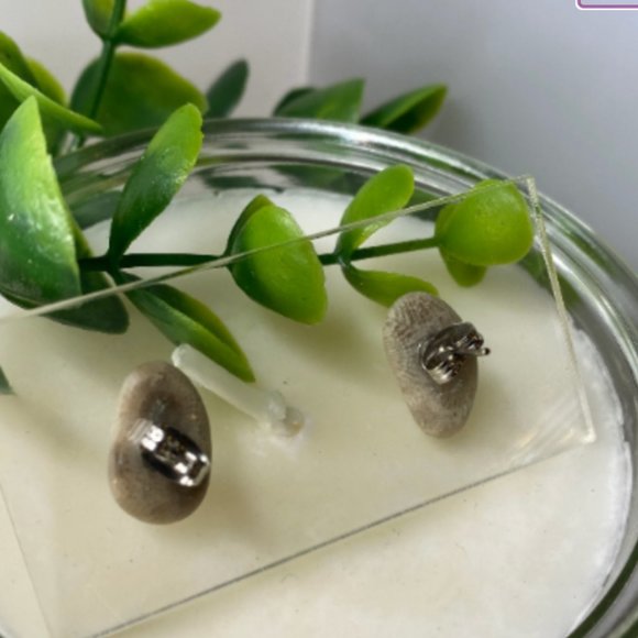 Petoskey Stone Stud Earrings - Picture 2 of 2
